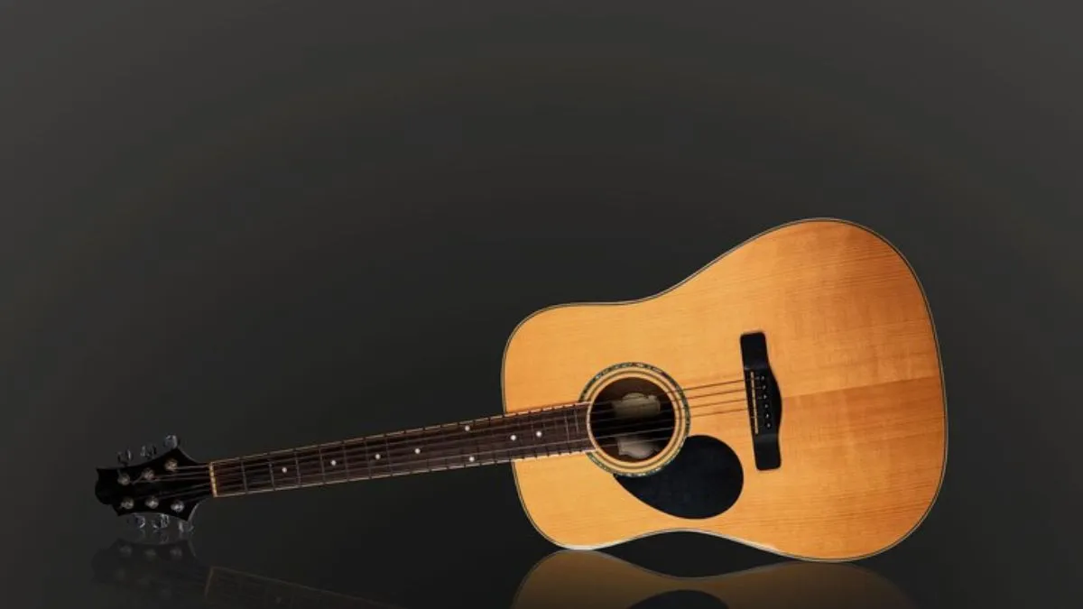 Acoustic Guitar- Representative Image