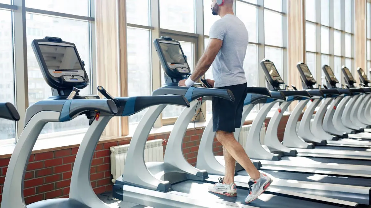 Best Treadmill Models From Cockatoo