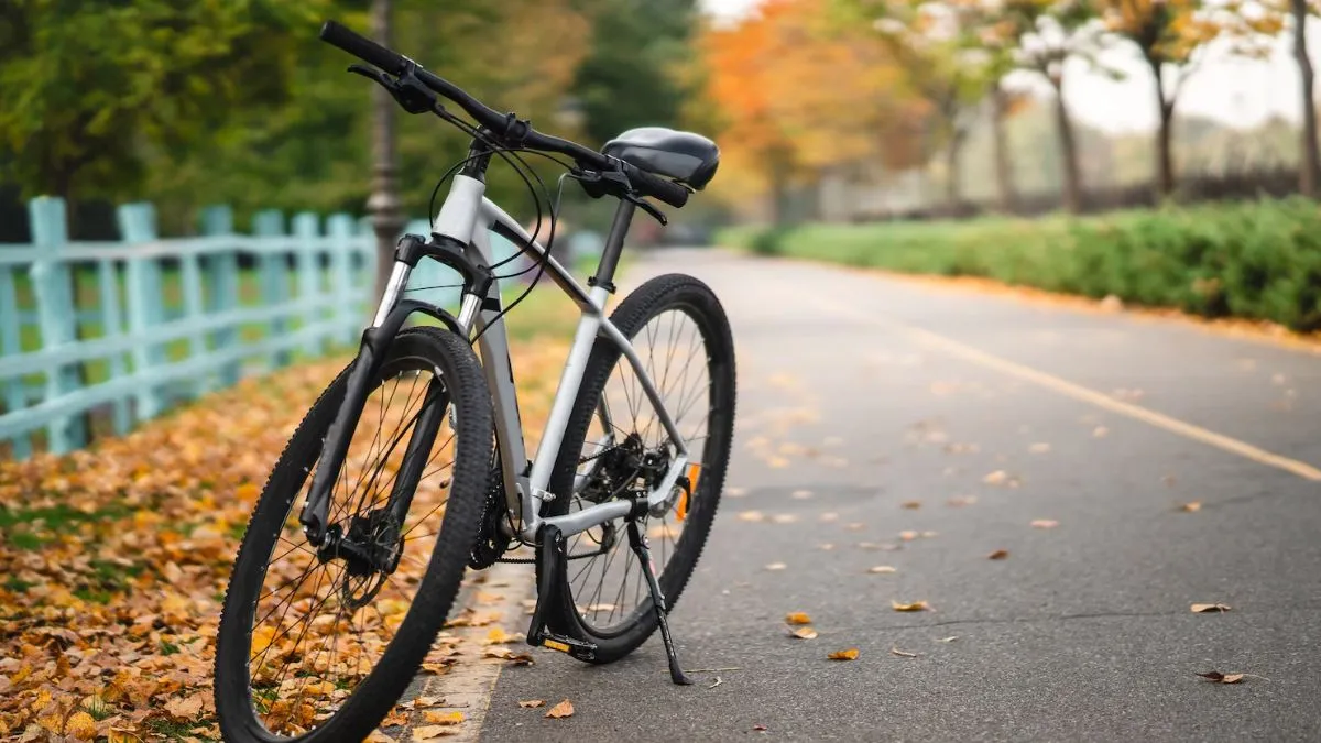 Top Cycles With 21 Gears