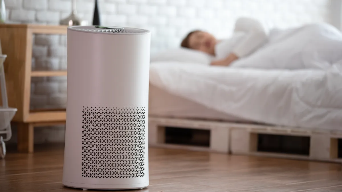 Dyson Air Purifiers  With  HEPA and Carbon Filters