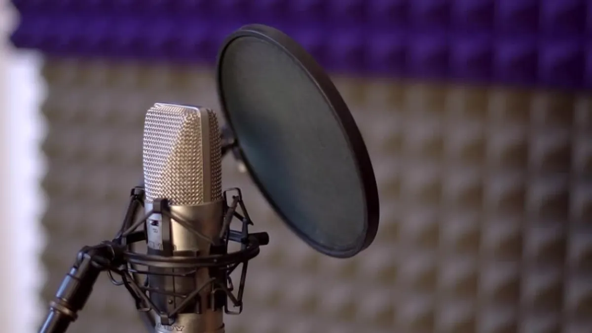 Pop Filters for Microphones on Amazon India