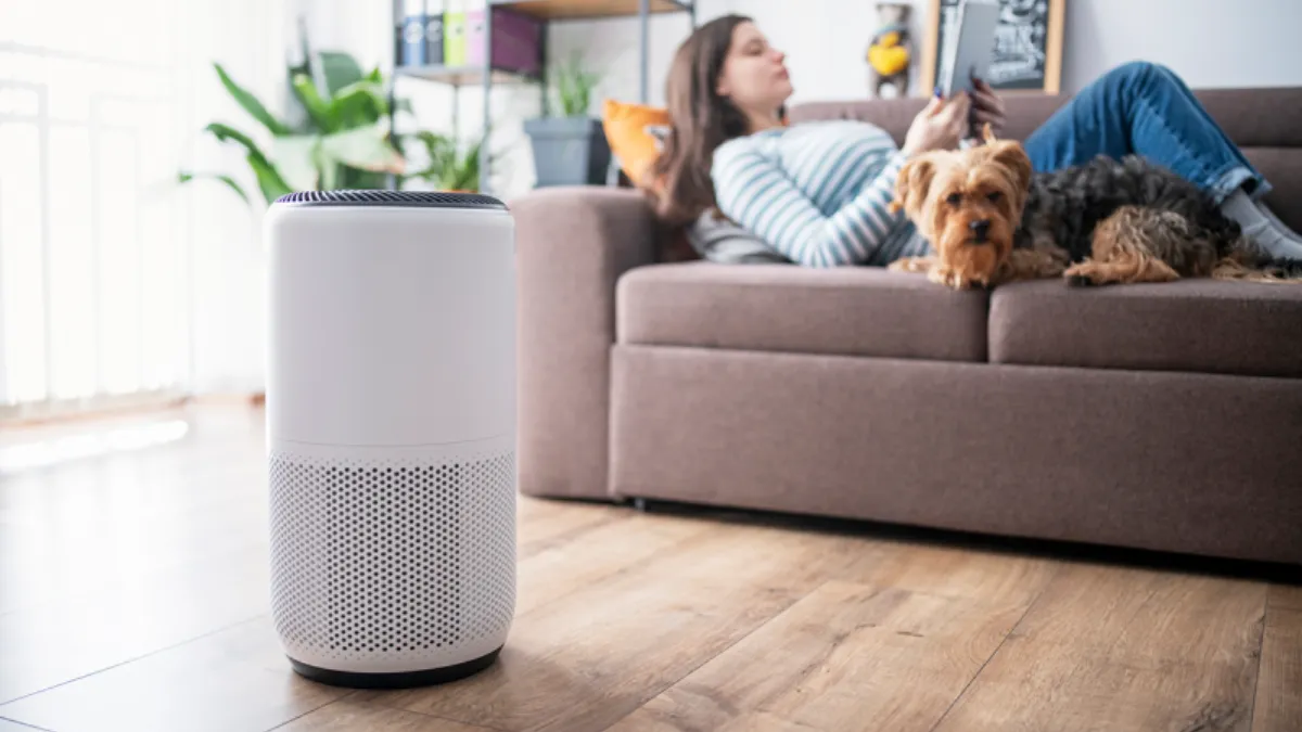 Best Air Purifiers