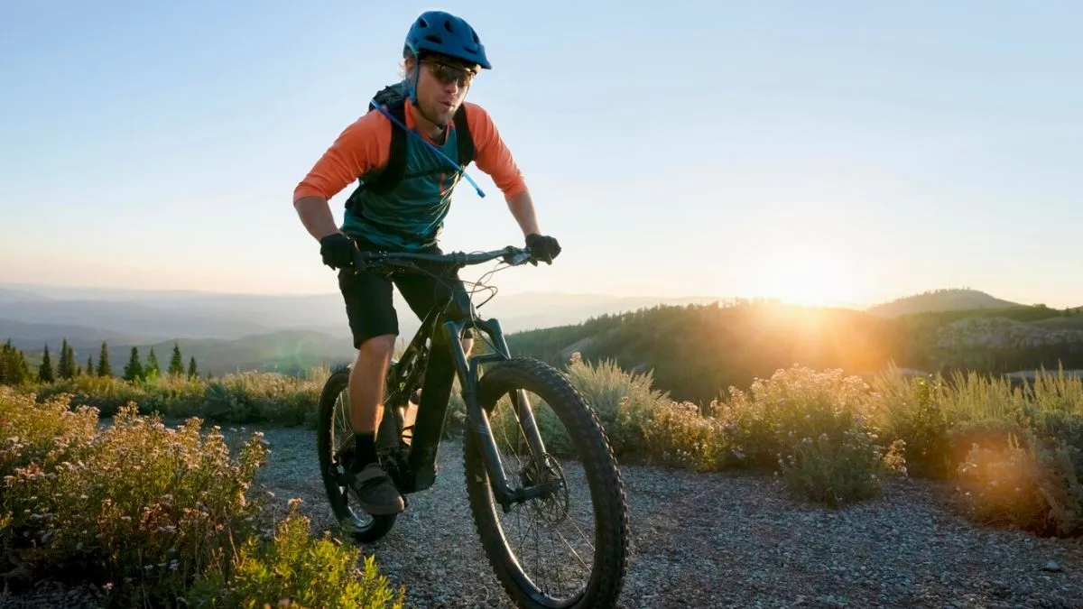 Top Cycle Brands