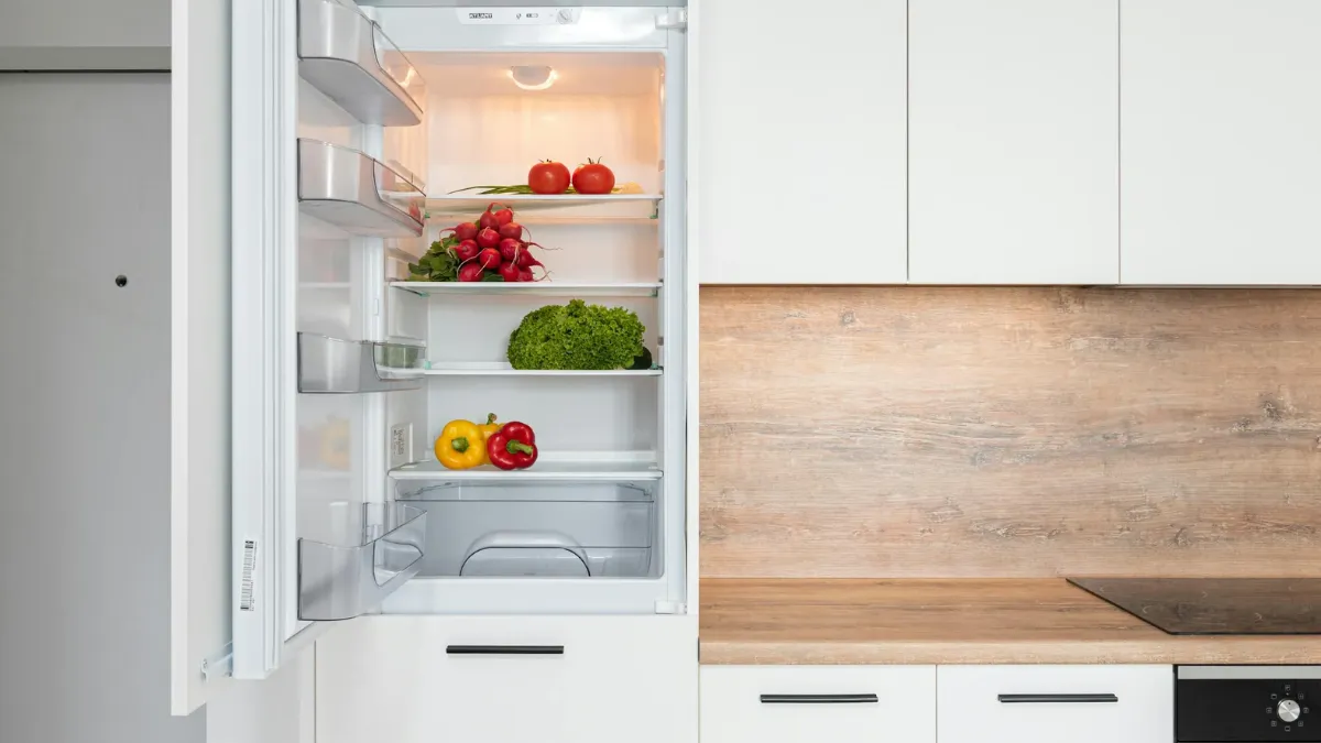 Top Refrigerators With Double Door