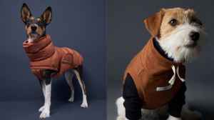 Top_Dog_Clothes_For_Winter