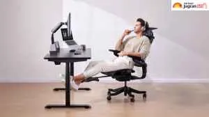 Top Office Chairs