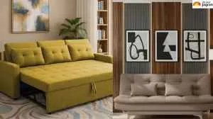 5 Comfortable Sofa Cum Beds Online on Amazon for Families and Overnight Guests 